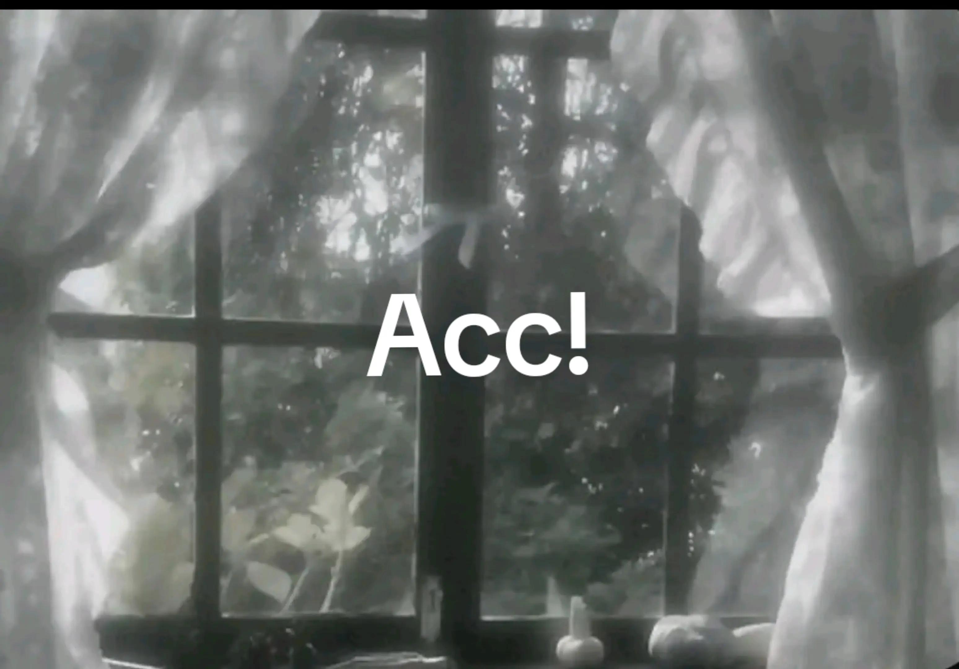@๐ผ๐๐๏ธโฐ •๐ฃ๐ฆ๐ญ๐ญ๐ฆ•๐งก๐๏ธ๐๐ผ