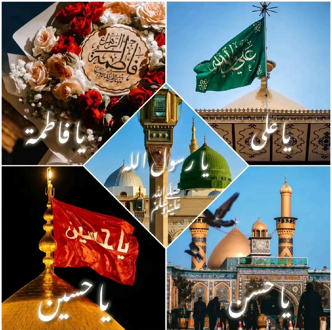 @بلال بھٹی ساہیوال والا804👑