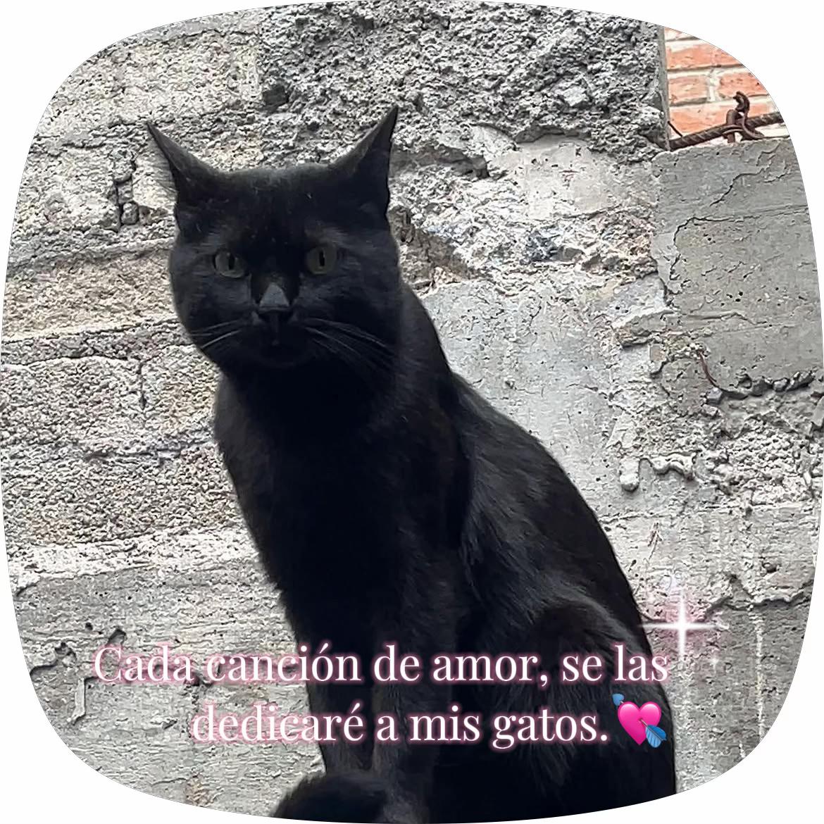 @𝐽𝑖𝑟𝑜𝑚𝑖.❤️