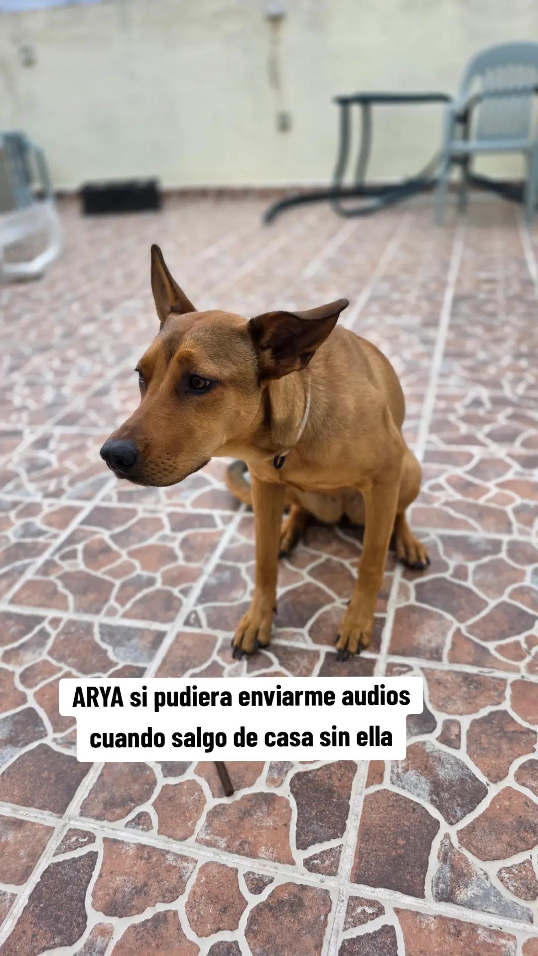 @Mau Zu&ntilde;iga