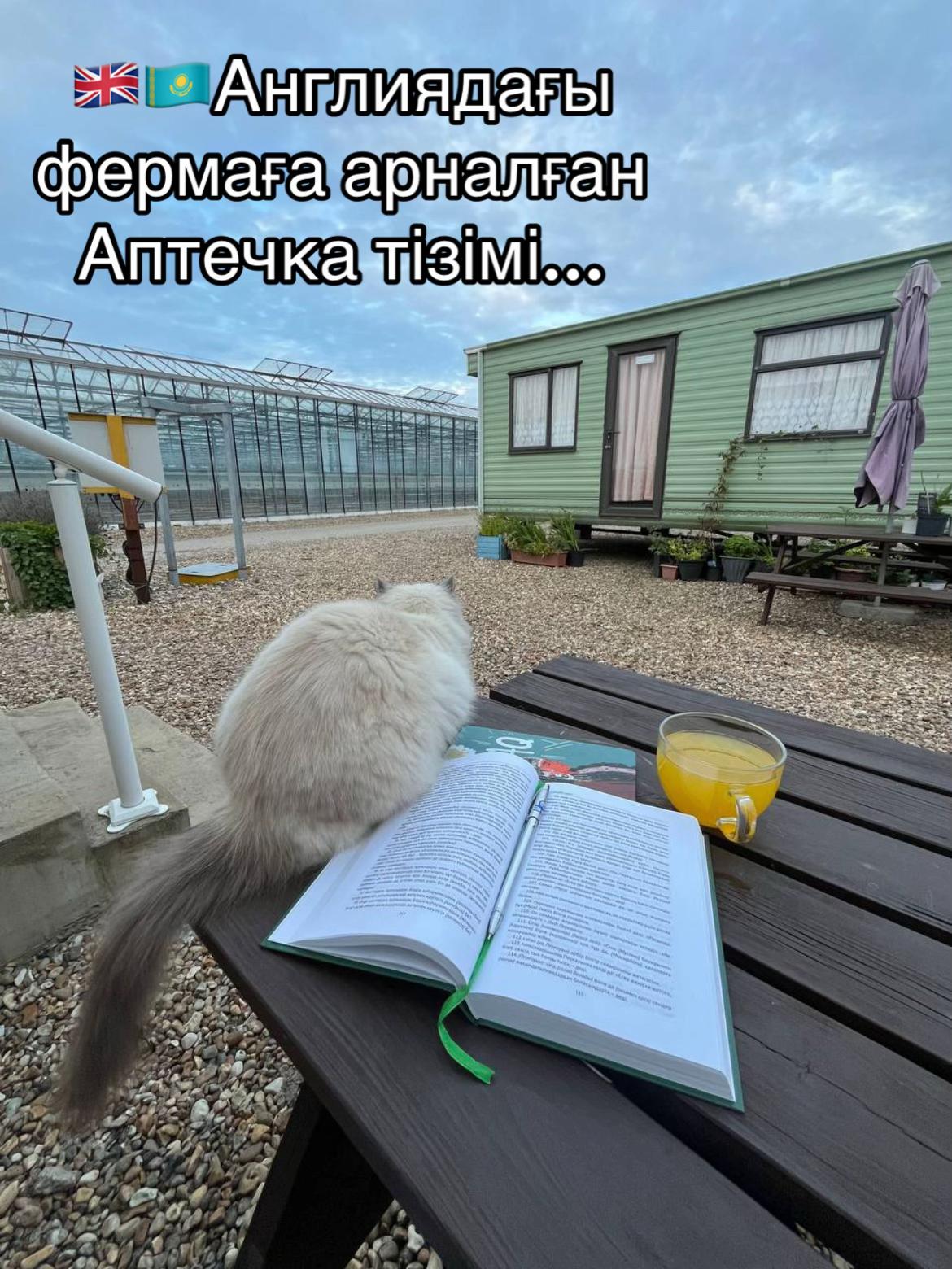 @Balzhan.Sultan🇬🇧🇰🇿