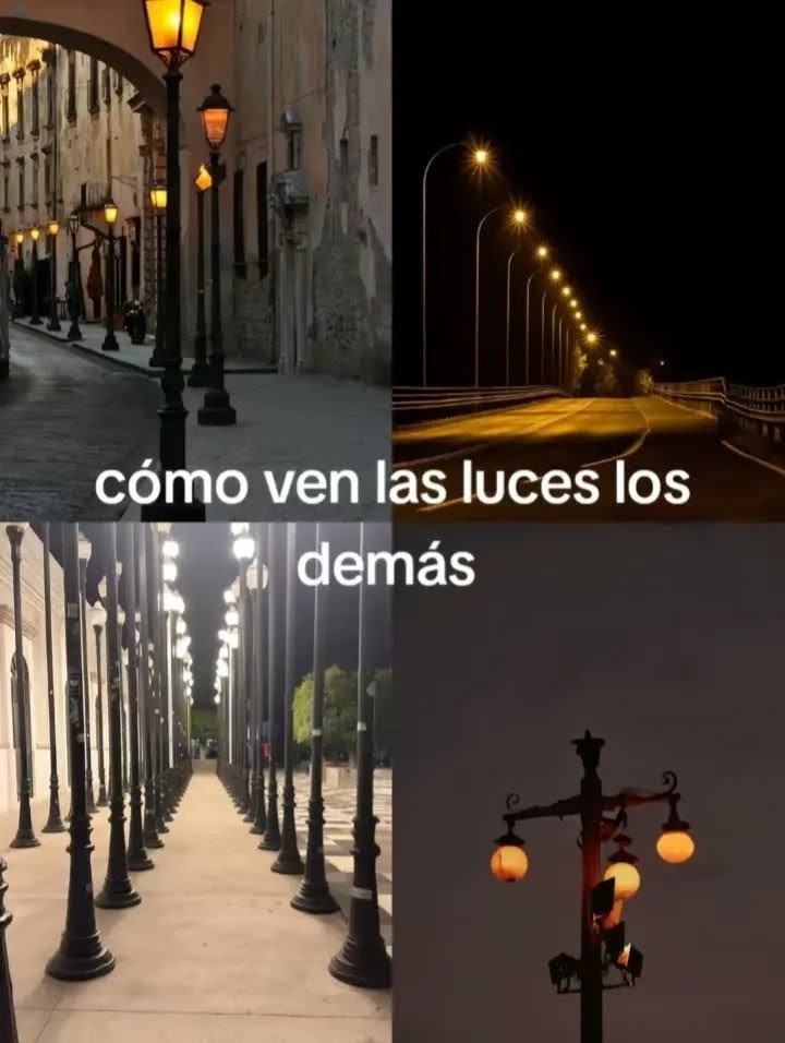 @𝐃𝐚𝐢𝐬𝐱_𝐟𝐥𝐝💗🪖🌳