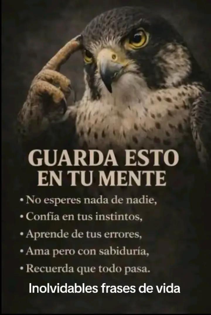 @AURELIO CASILLAS