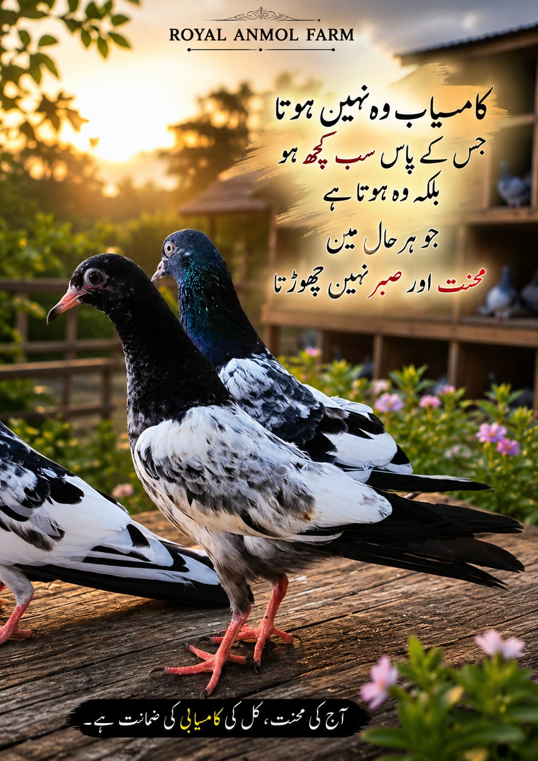 @ZahidZHB