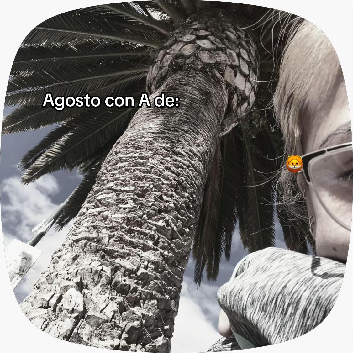 @lyrics23avocado