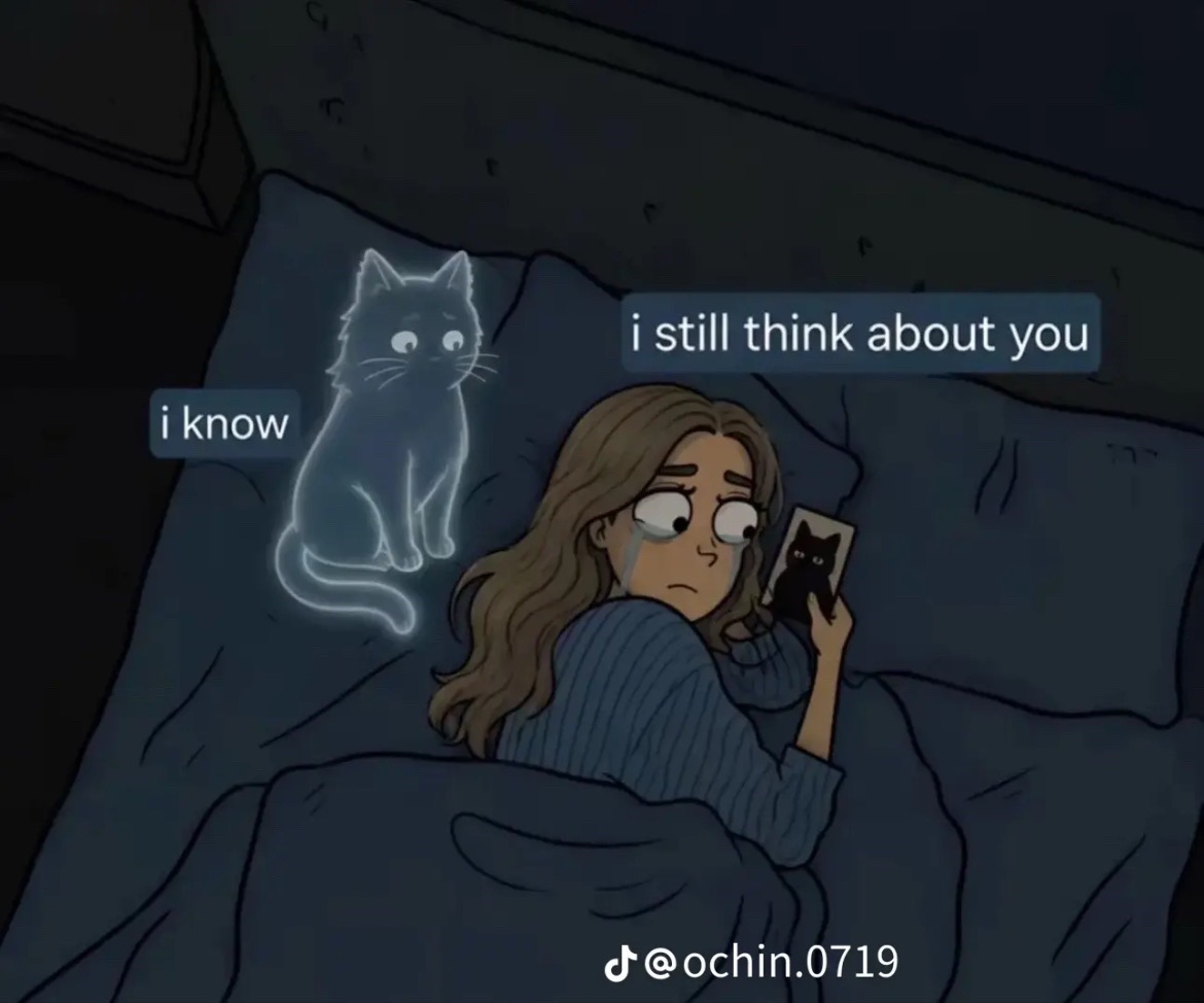 @Vanessa Mitchell