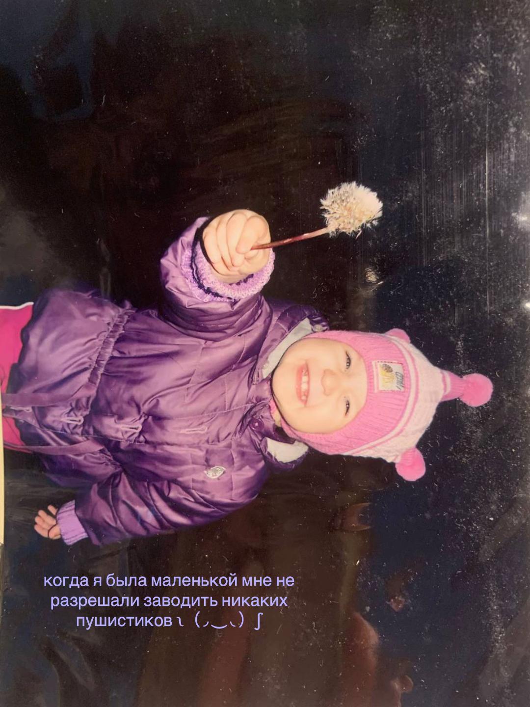 @никита ч. салют🍇
