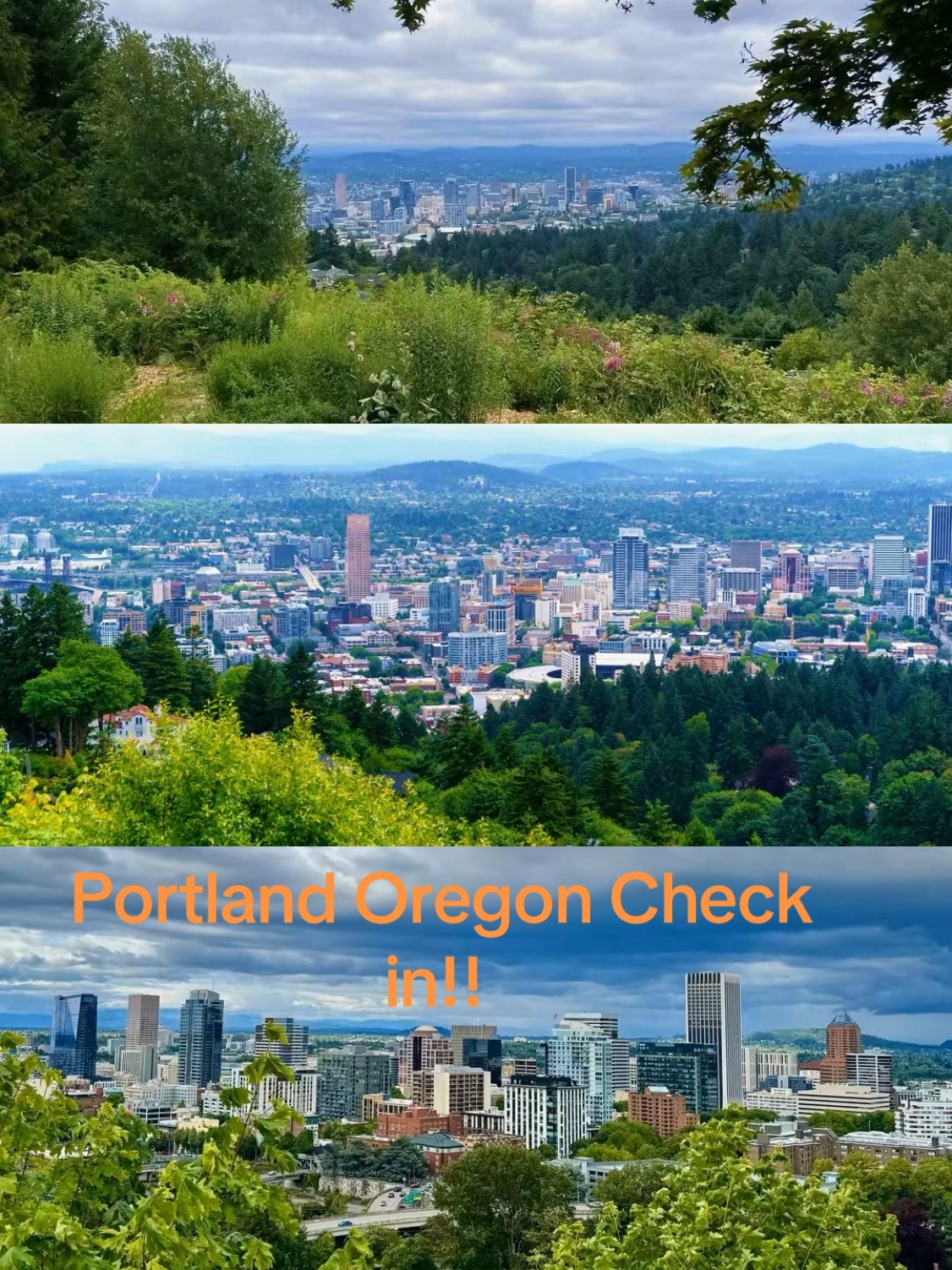 @Crystal | Traveling Loctician