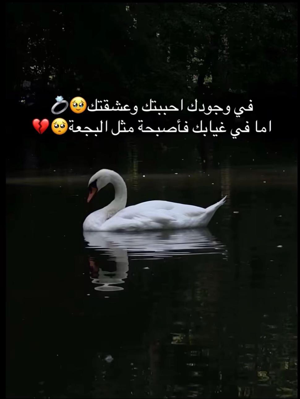@BøuChra Japoniyæ🦢❤️