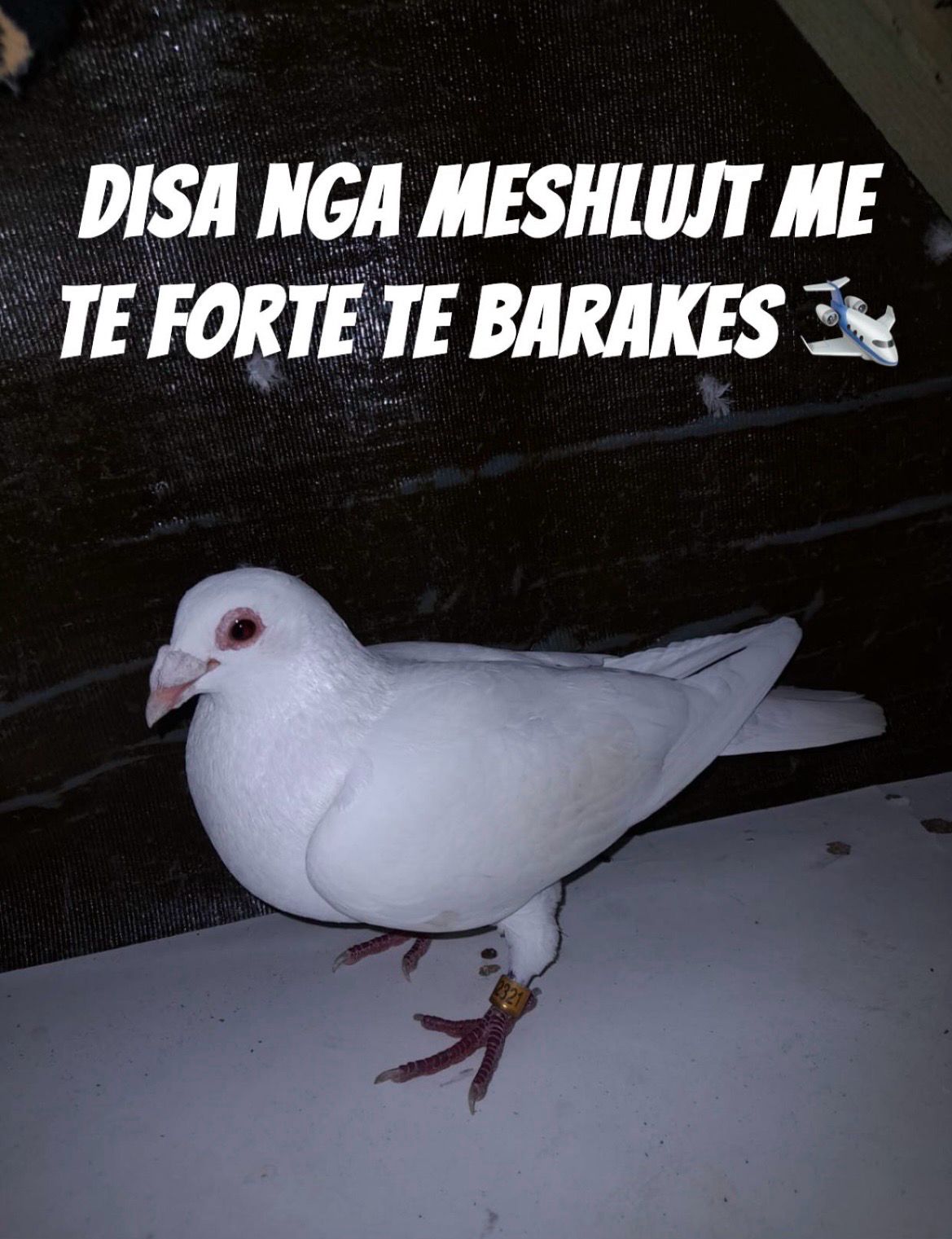 @H. Vendi