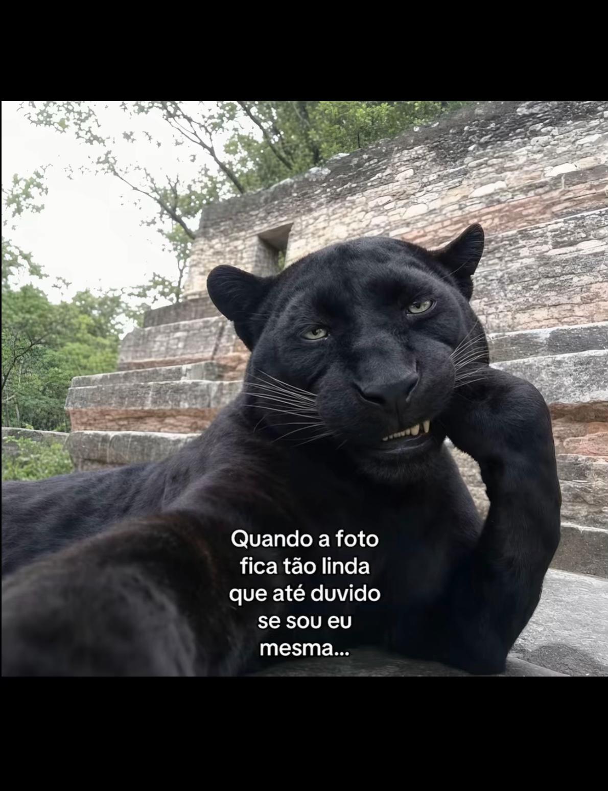 @Emily Silva