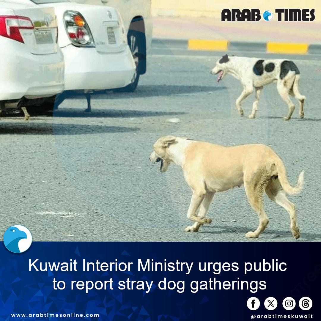 @arab times kuwait
