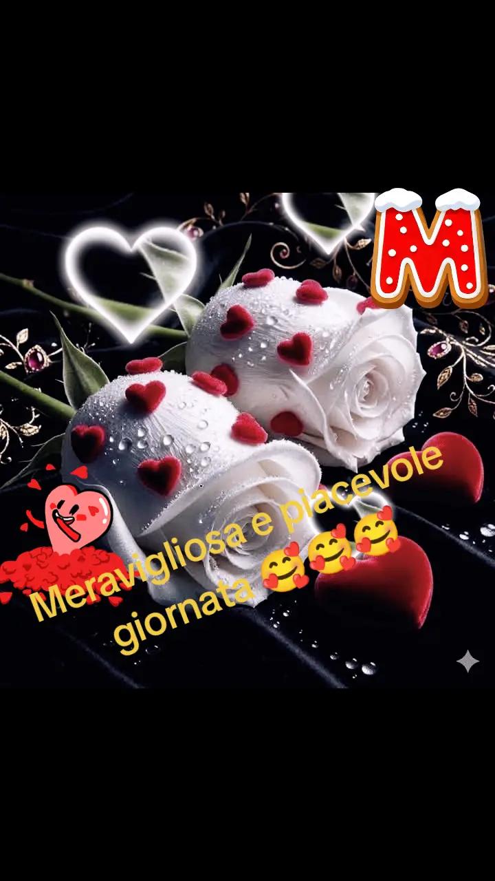 @Nicolae Iamandi Marin