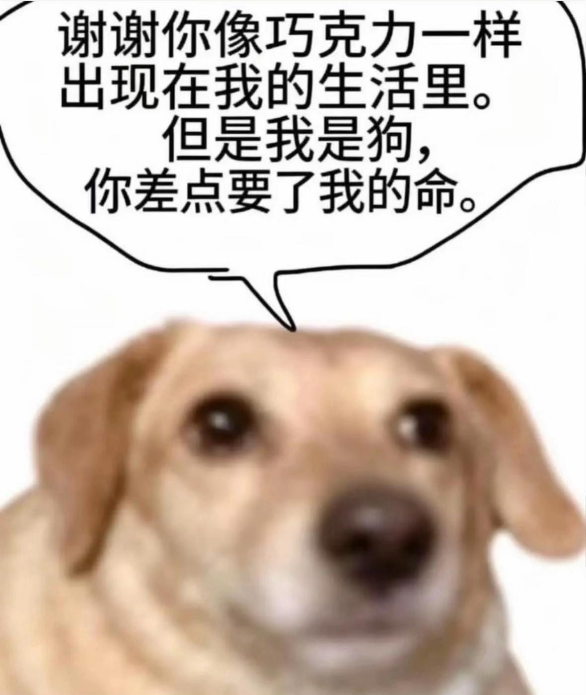 @漿:3