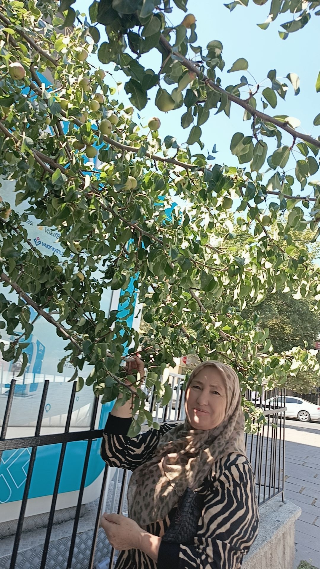 @seldoşun dünyası