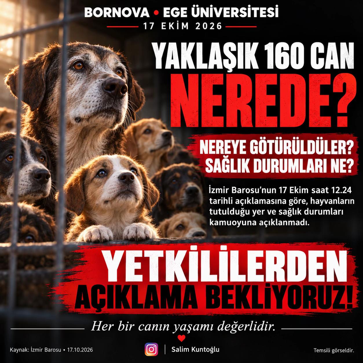@Salim Kuntoğlu