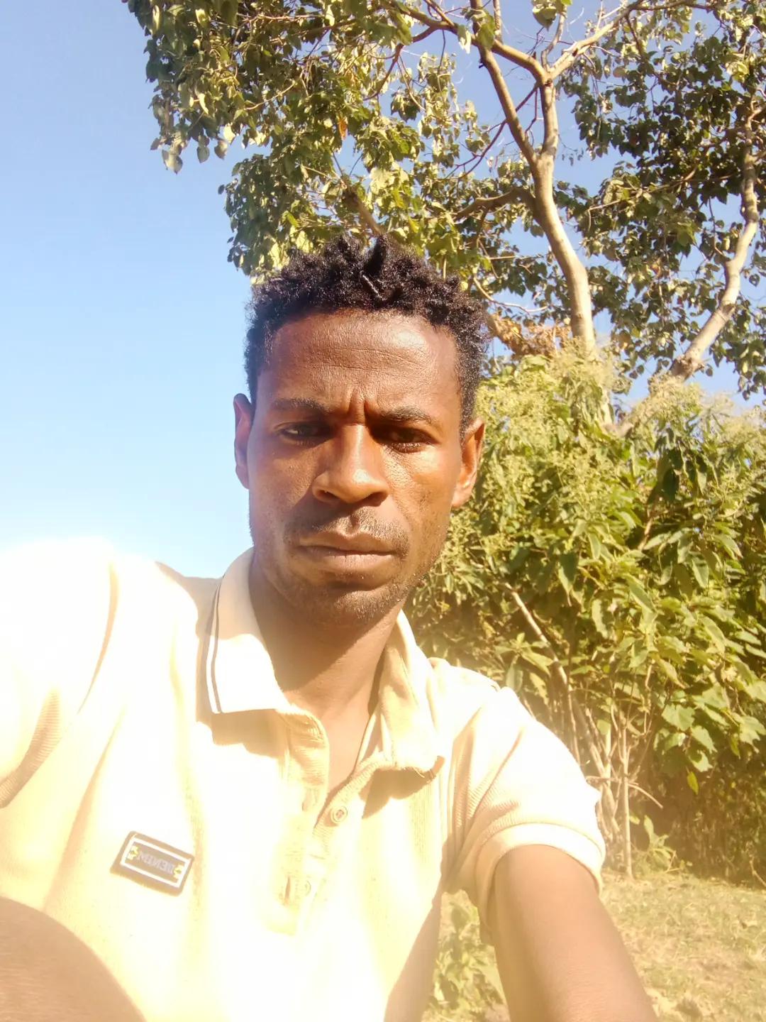@mesert