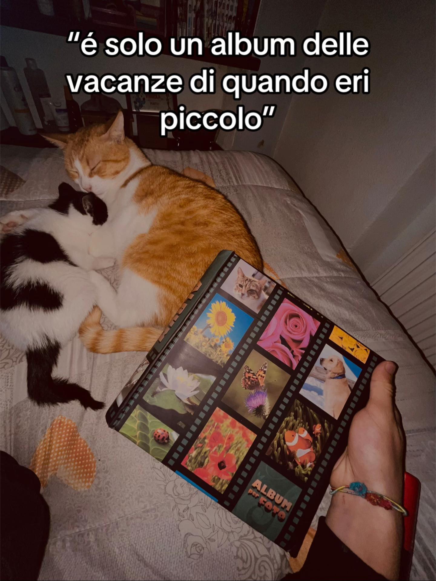 @catta