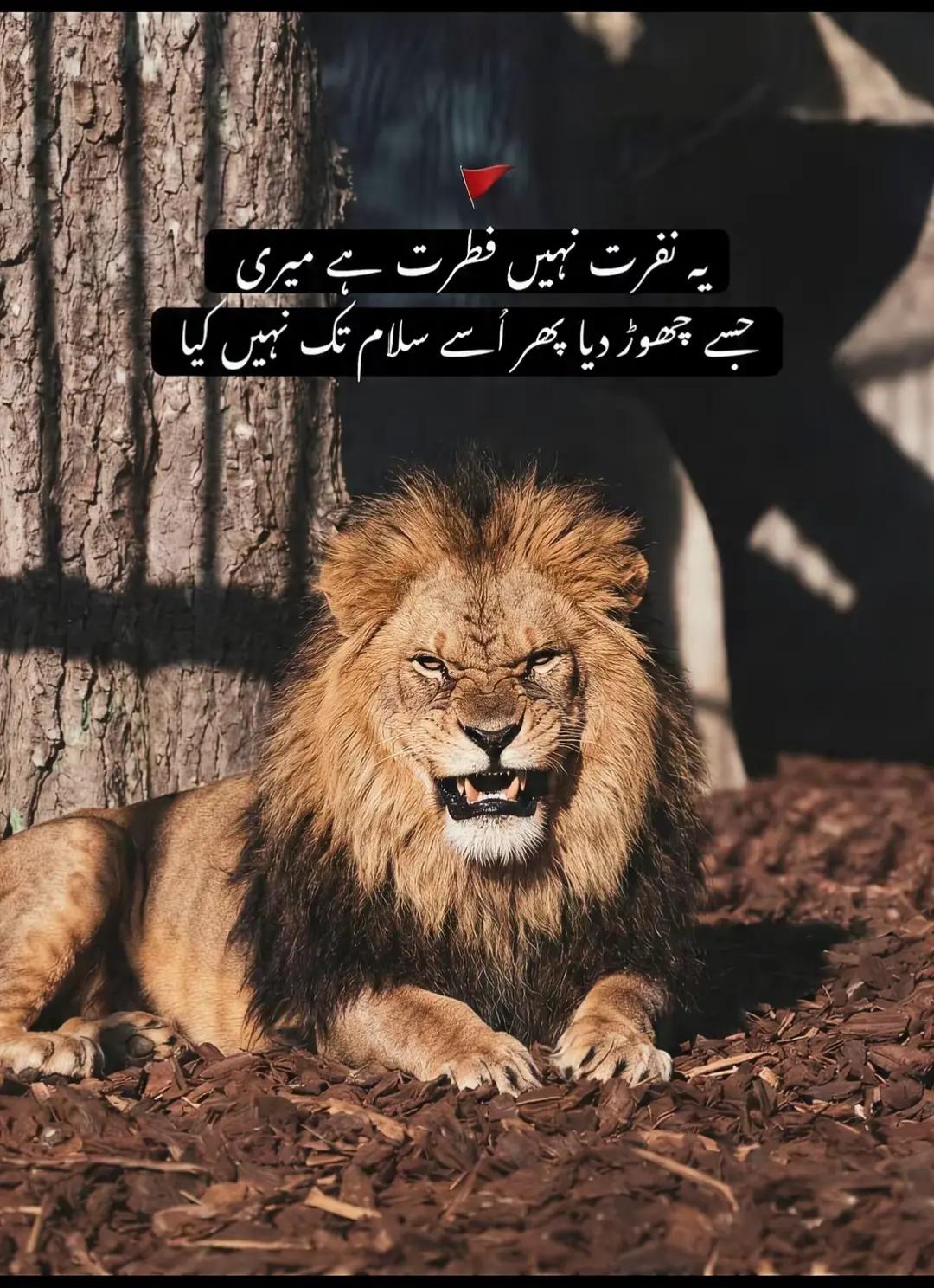 @𝐁ɛpʌ֟፝ɼwʌɦ🖤