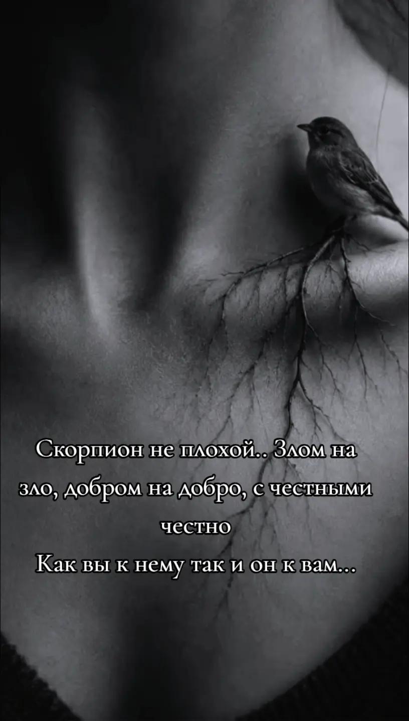 @𓆩🖤𝑮𝒍𝒂𝒛𝒂𝒔𝒕𝒊𝒌♏︎🇺🇦𓆪
