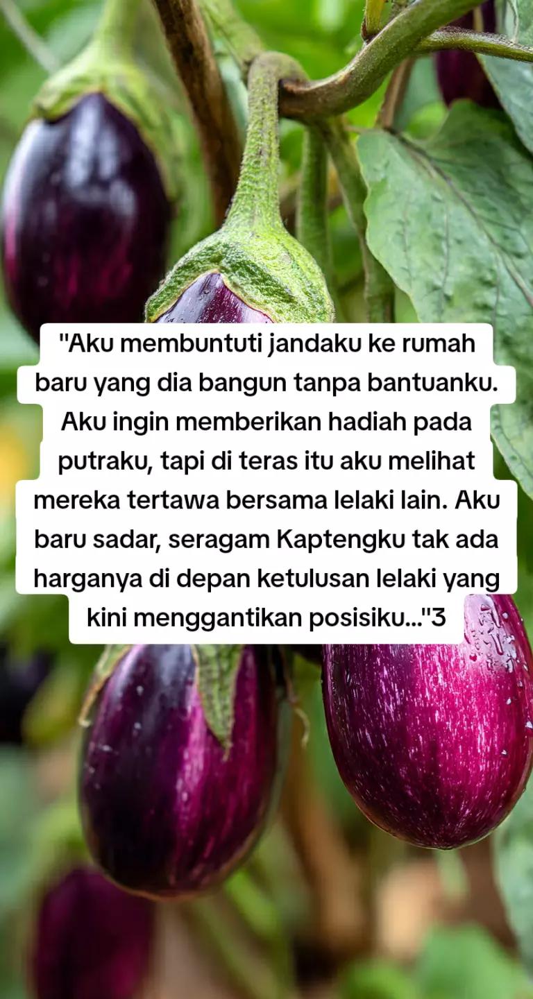 @Promosi Novel Online