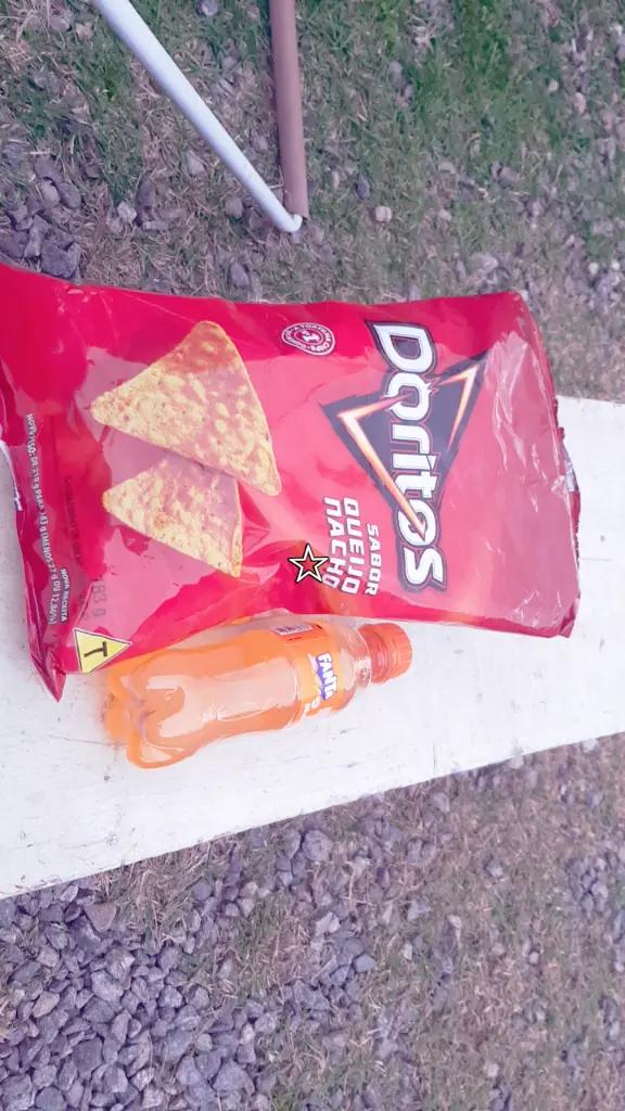 @~gatos brancos⚪🤍(-> <-)☆♡~