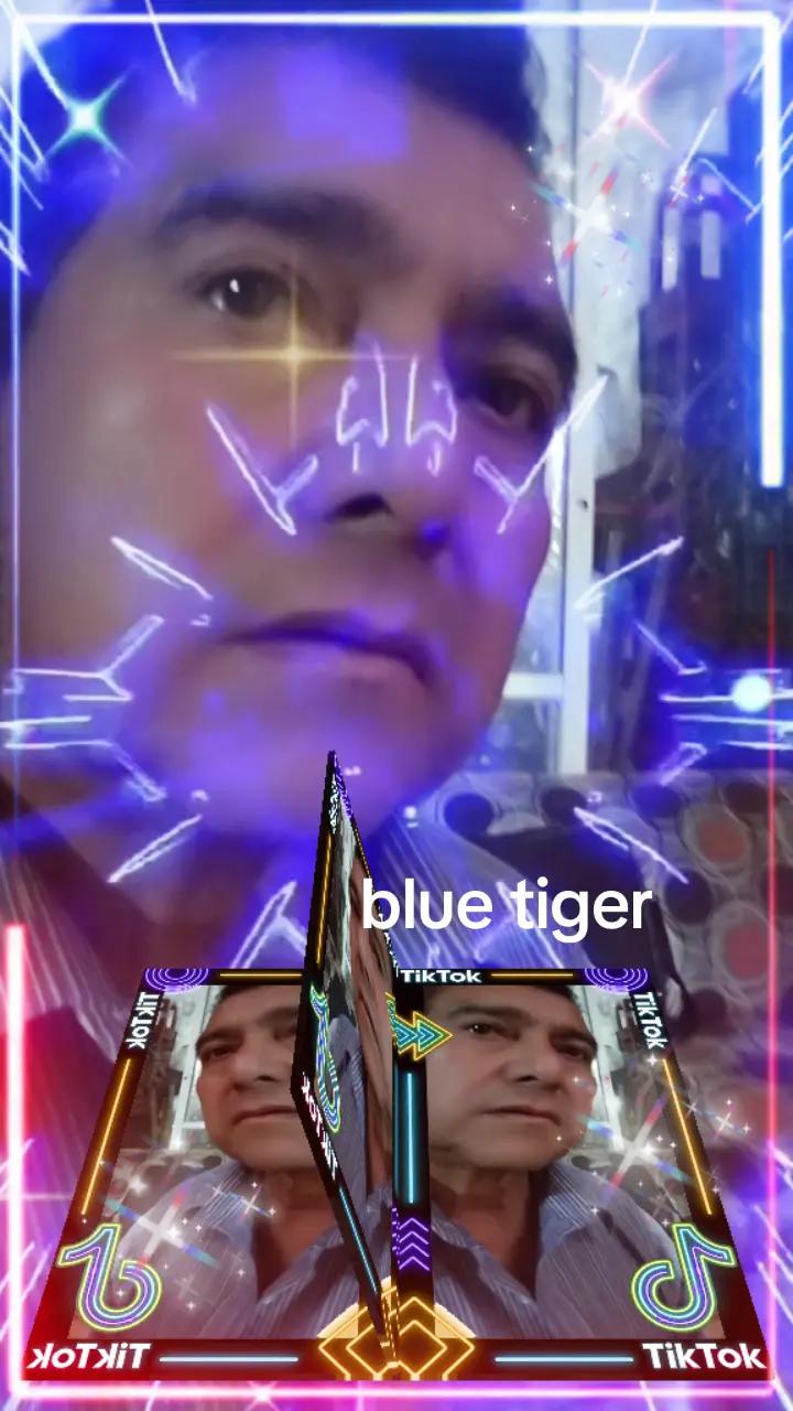 @bluetiger