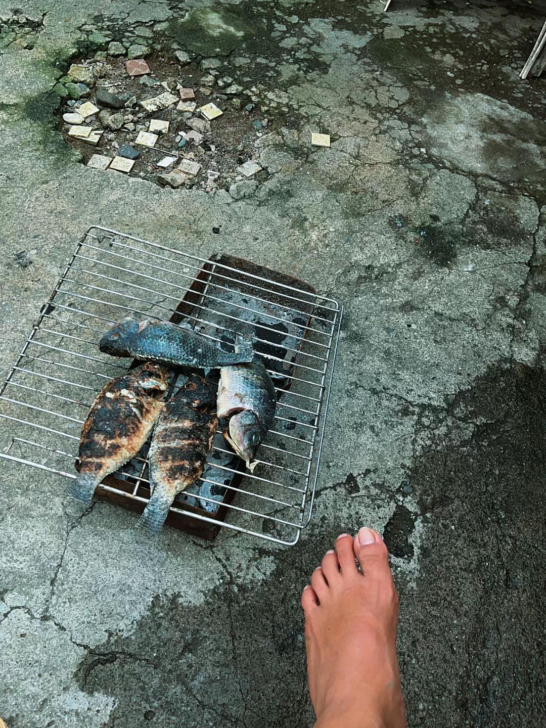 @萄萊莎