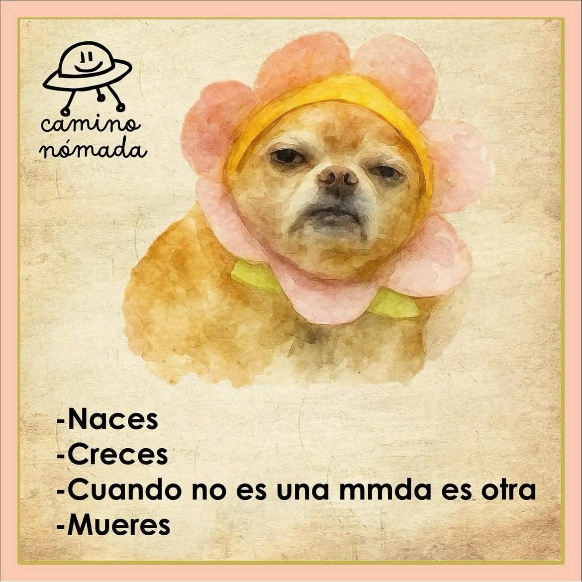 @Leticia rey