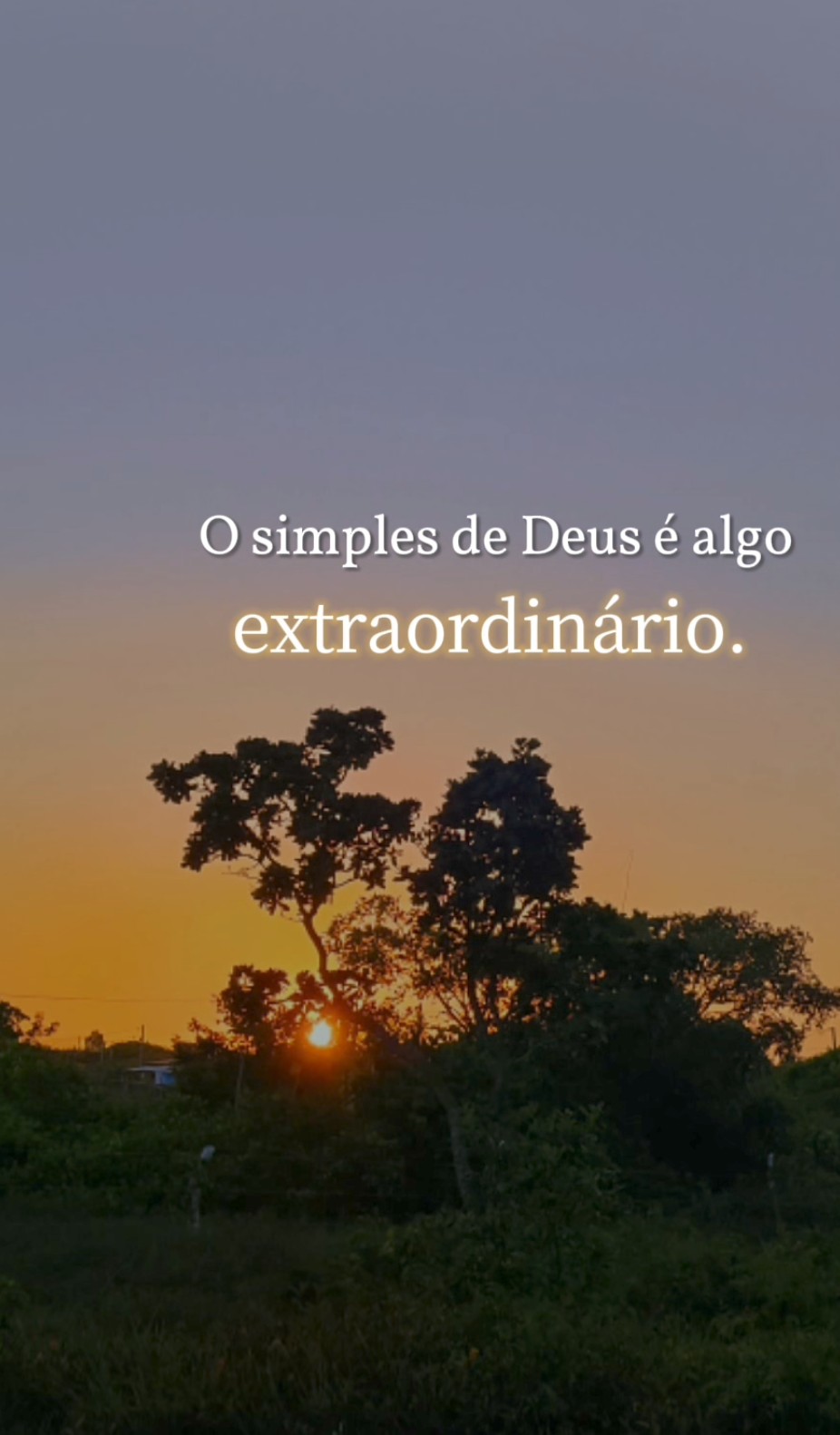 @Ivoneide Carvalho⚘🥰