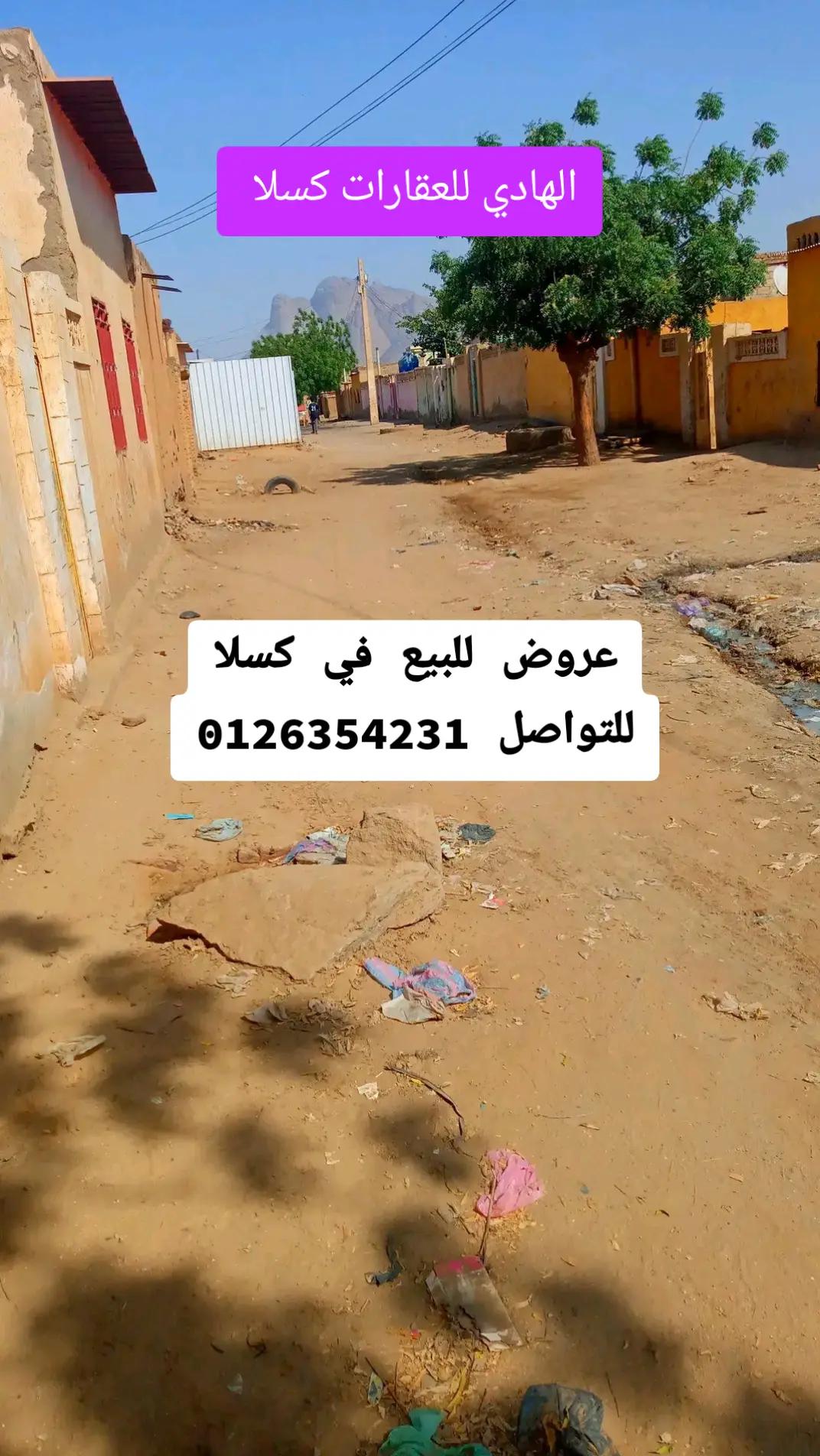 @الهادي للعقارات-كسلا