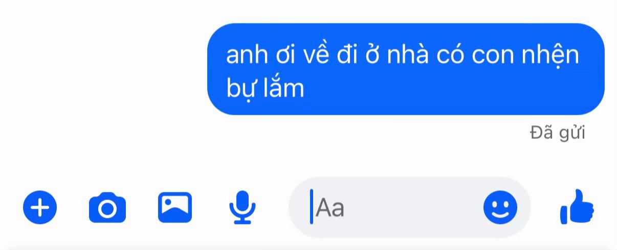 @hyma06