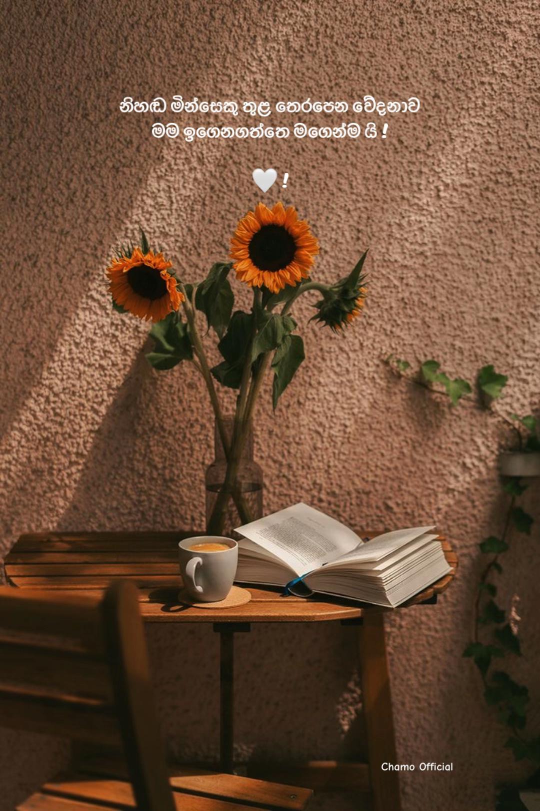 @< 𝐂𝐡𝐚𝐦𝐨 ᥫ᭡
