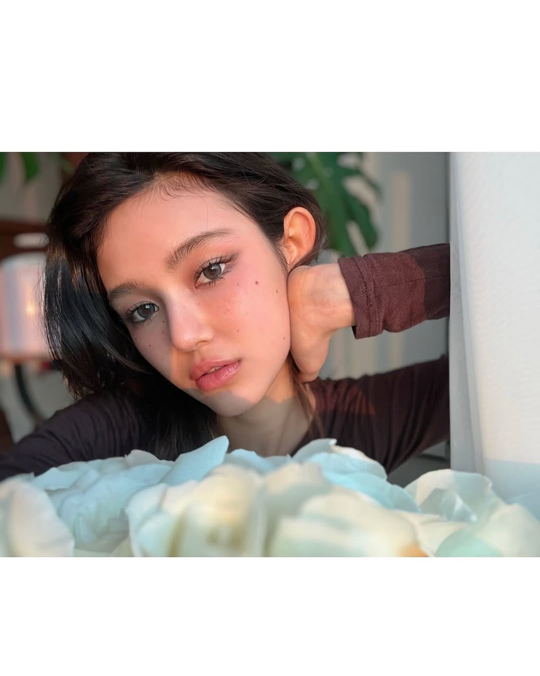 @Dinonies ๐ฆ