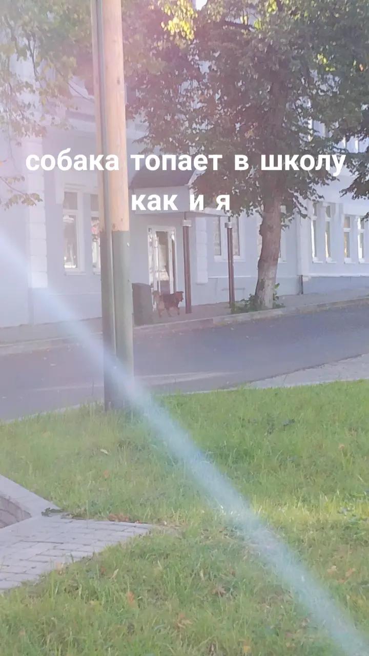 @bananchik