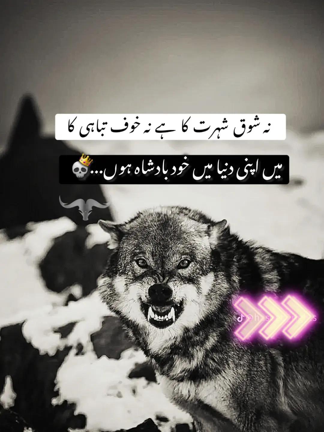 @Zia ur Rehman Minhas
