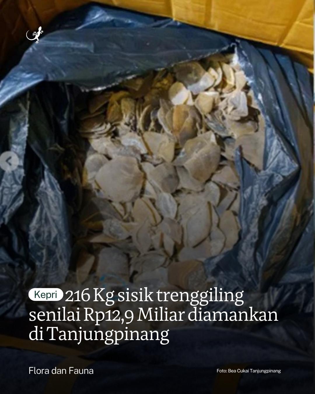 @mongabayindonesia