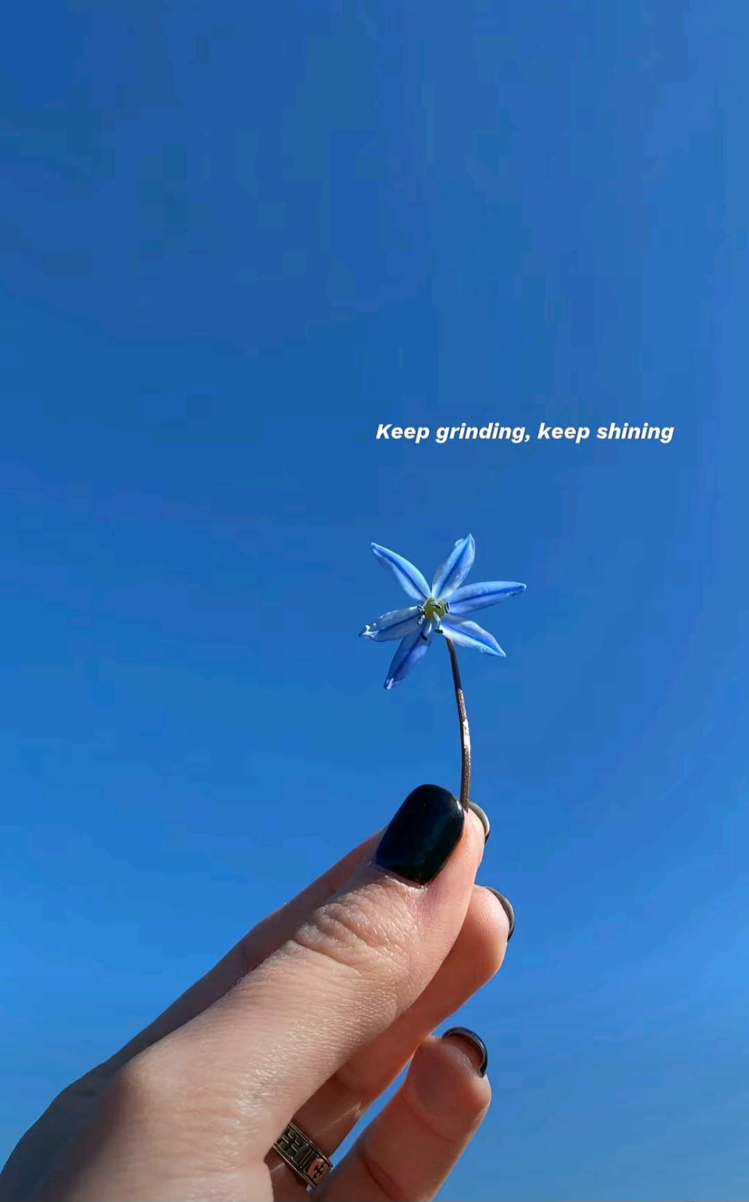 @Blue