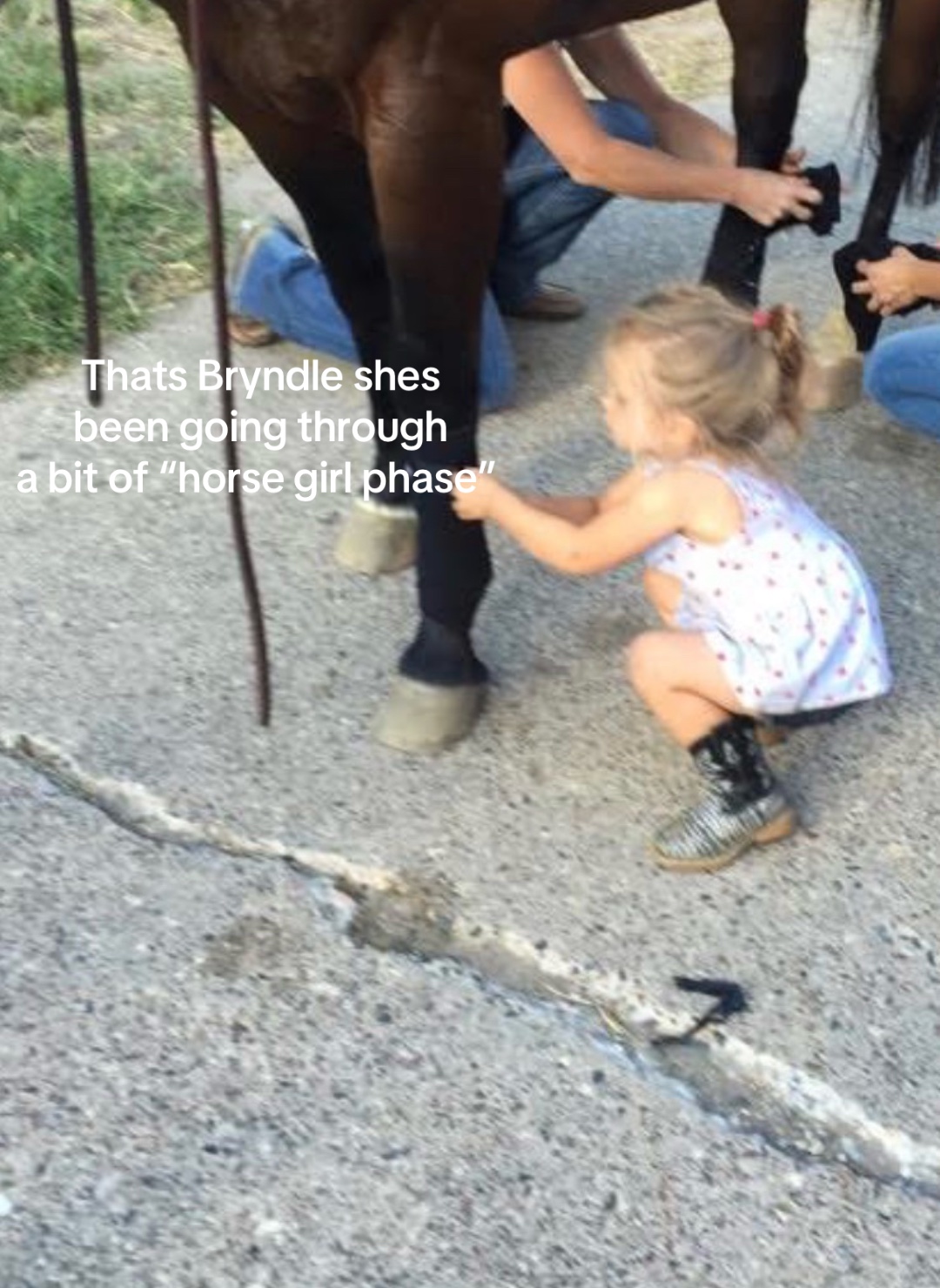 @bryndlekaye_horses