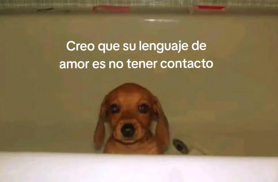 @Anderson't