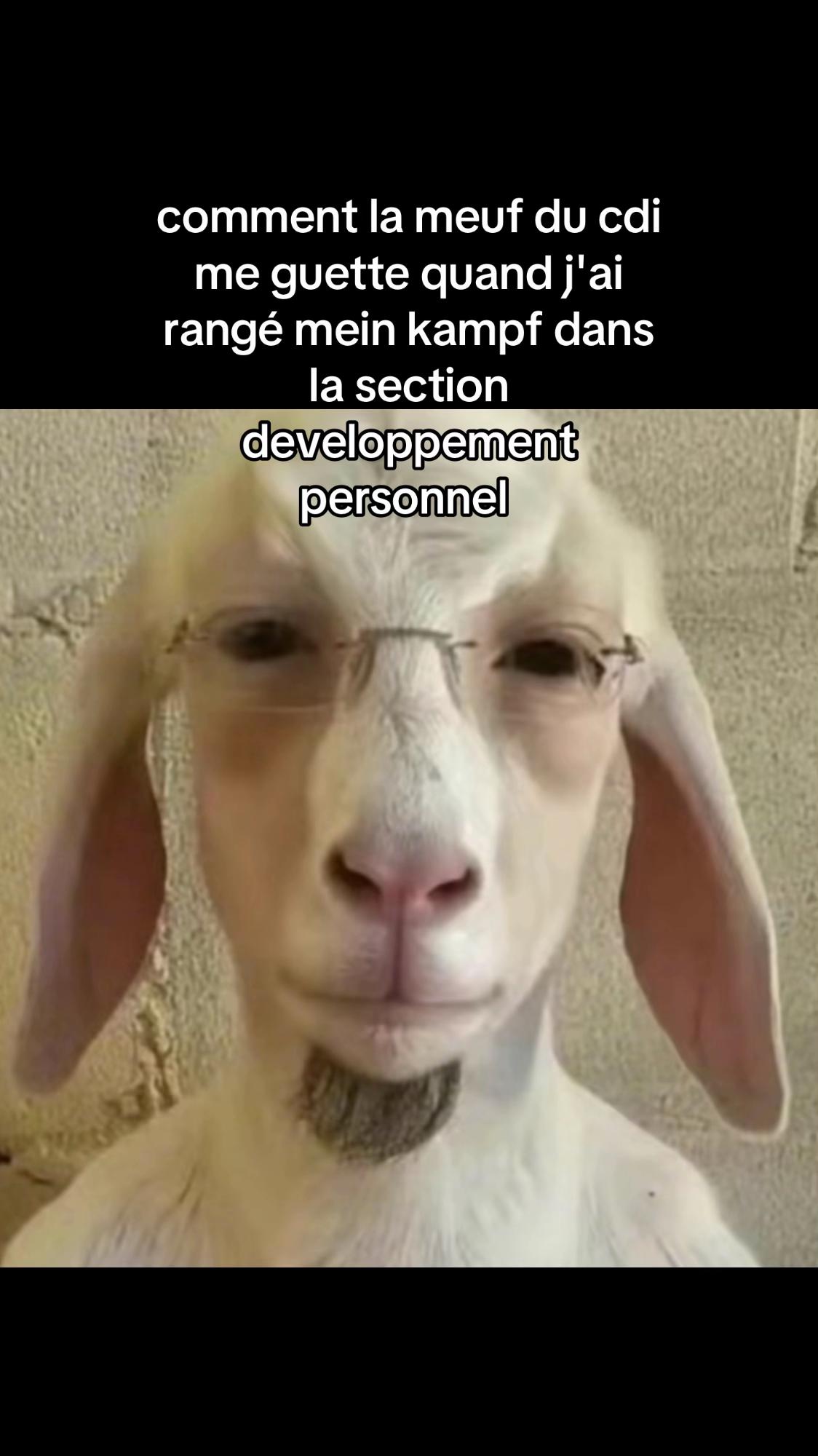@gravenberchgoat
