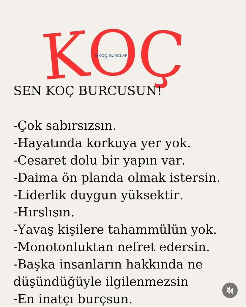 @kocburcu6