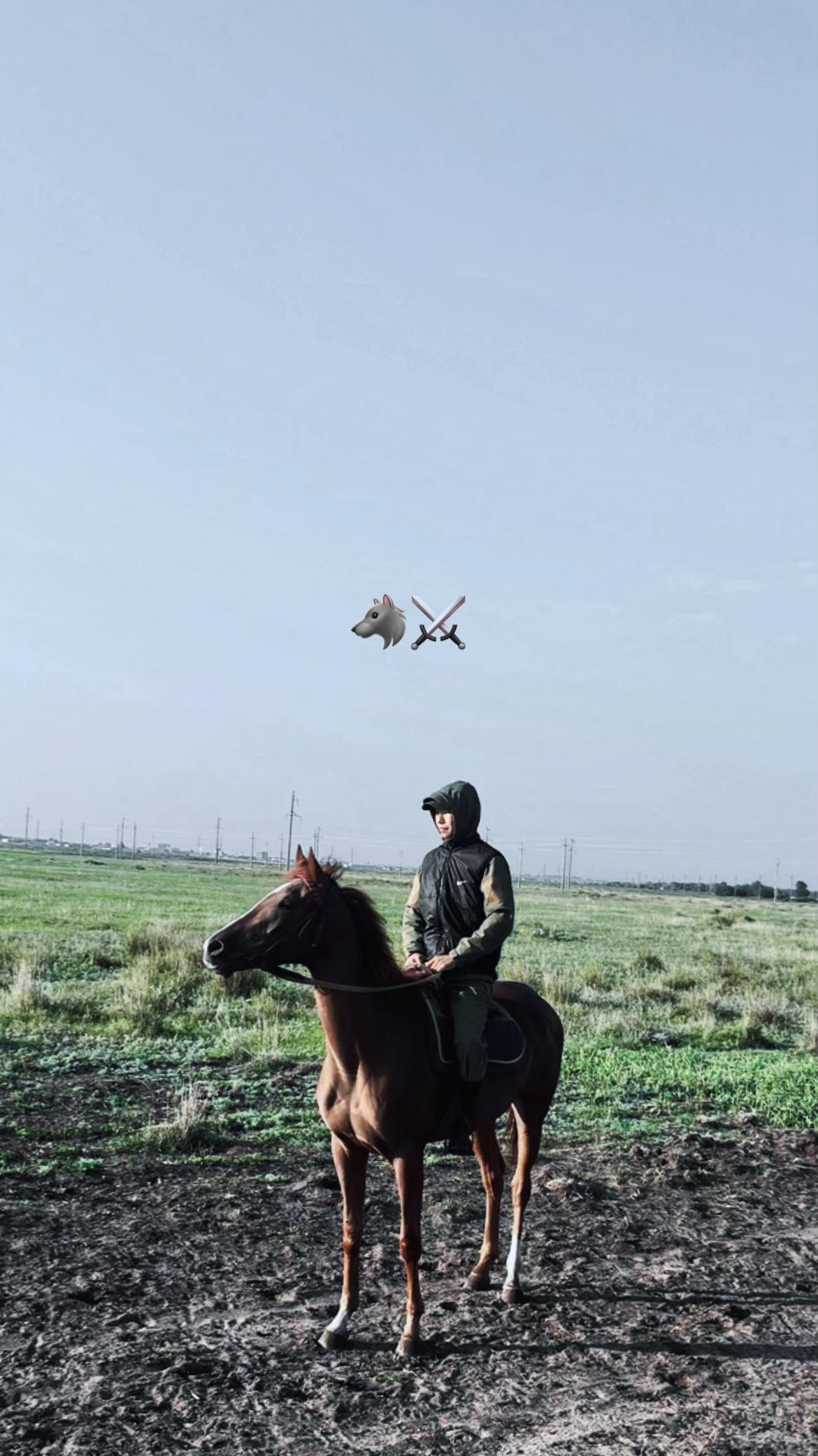 @🐎❤️