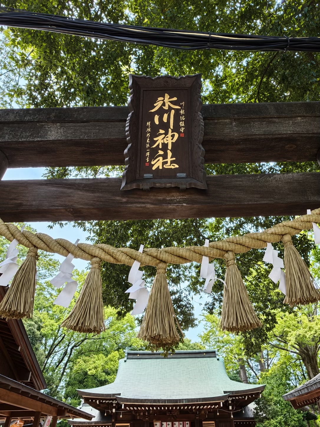 @日本包车-商导