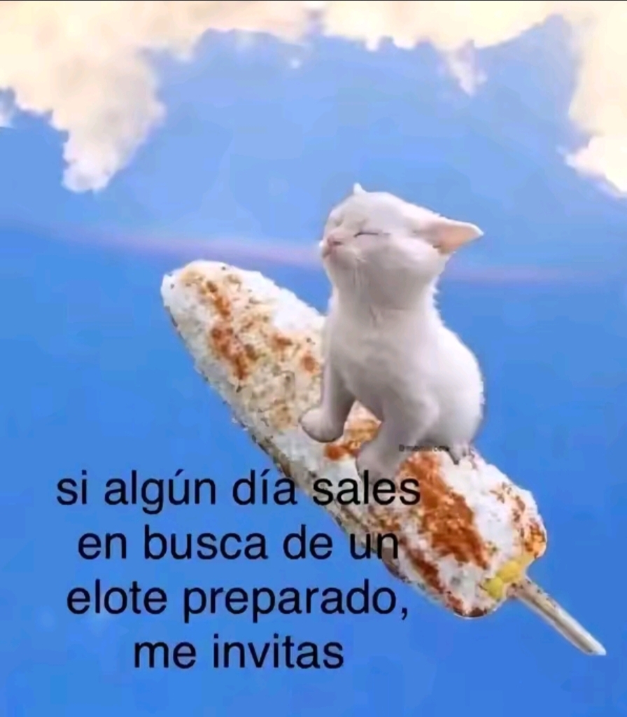 @Ilse Osorio