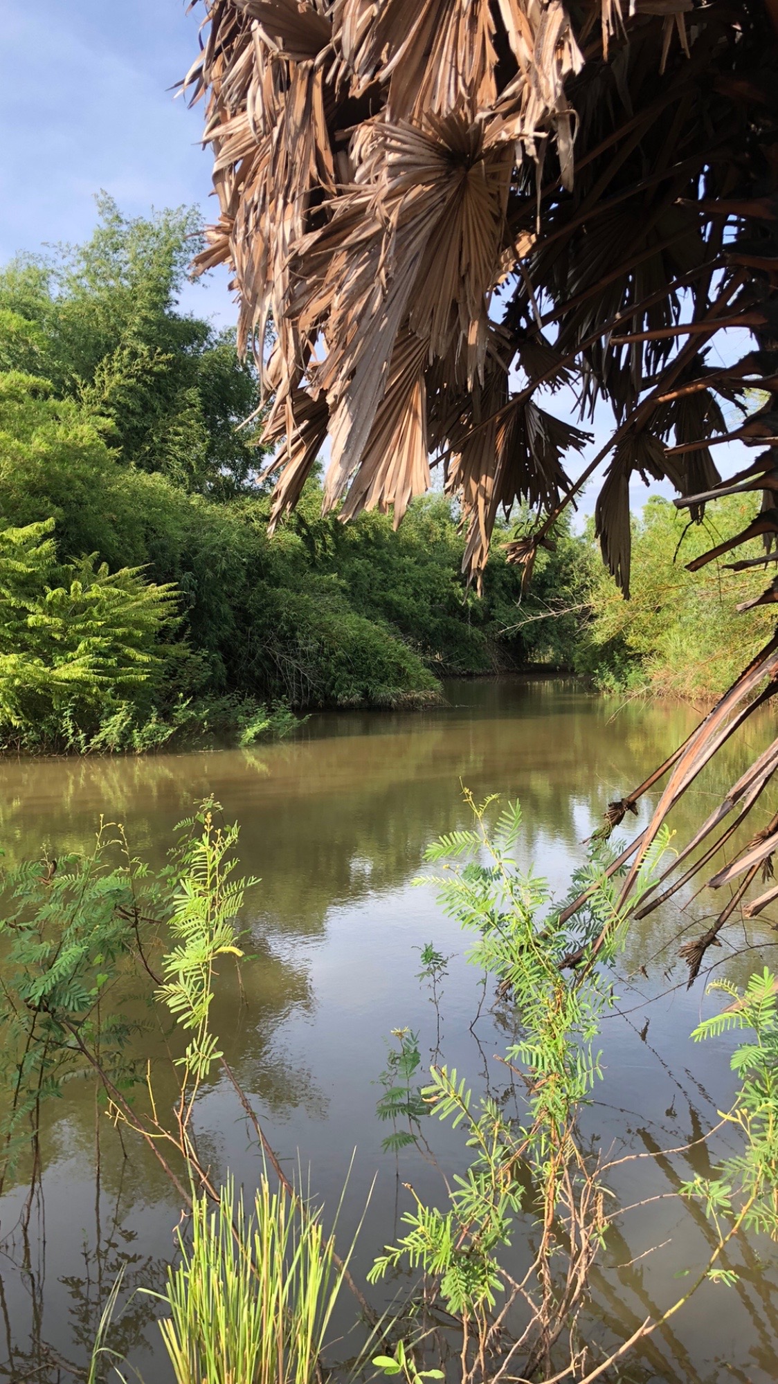 @KJF Fishing