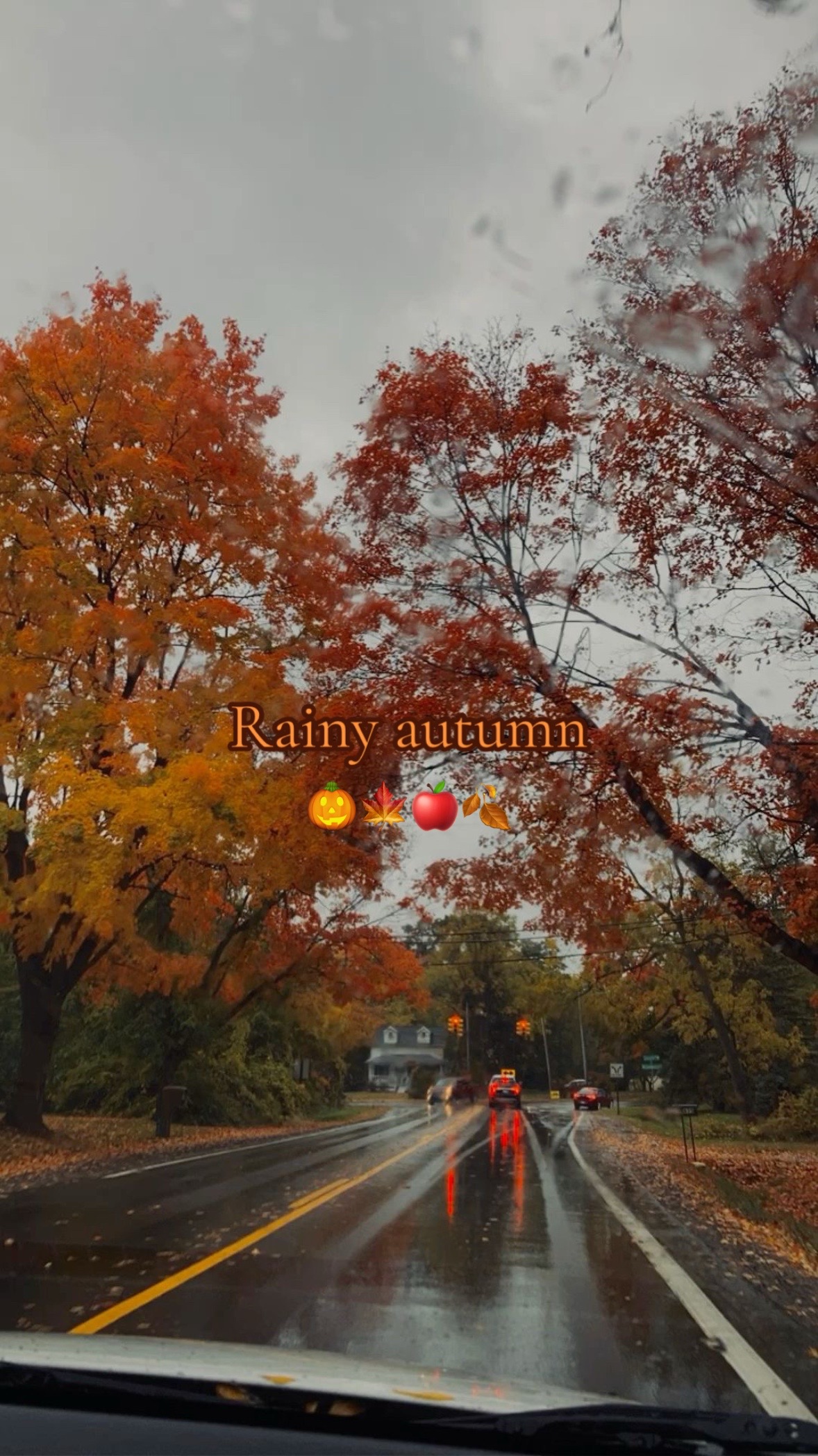 @🍂AUTUMNLOVER🍂