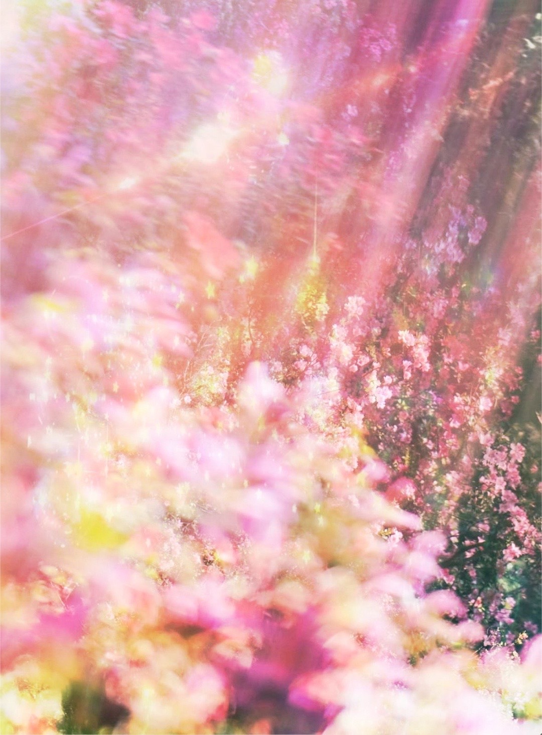 @. ݁ 𐔌 :§ᥙkі ! ˎ ゛⋆˙ও