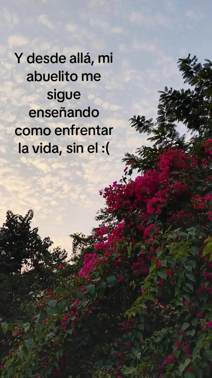 @its_marilú:3💗