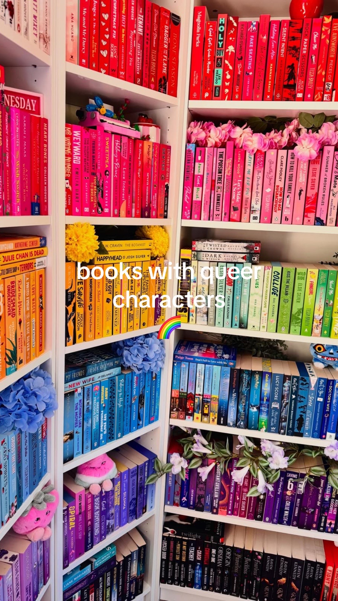 @cat 📚